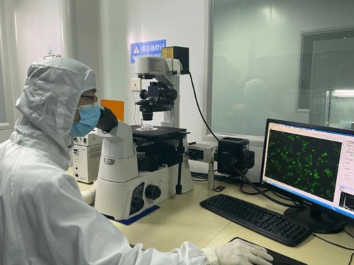 布局 西部氫谷 ,構建創新體系 九龍坡要打造制造業高質量發展示范區