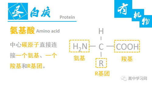 高中生物中的無機(jī)物和有機(jī)物基礎(chǔ)知識(shí)梳理
