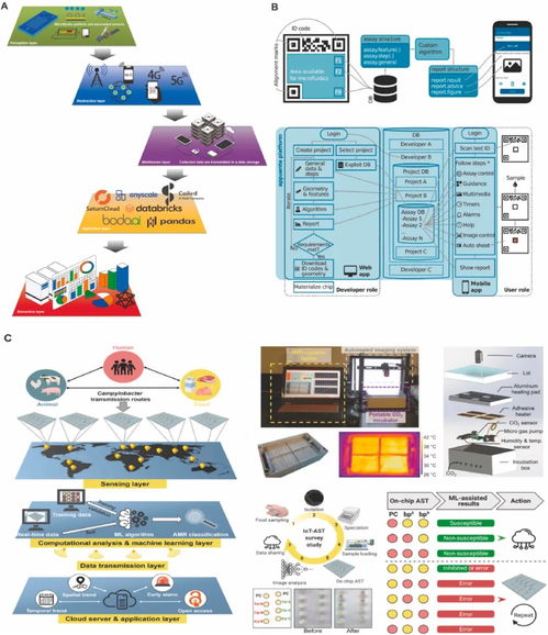 用于微生物病原體即時(shí)檢測(cè)的材料功能化微流控系統(tǒng)研究進(jìn)展
