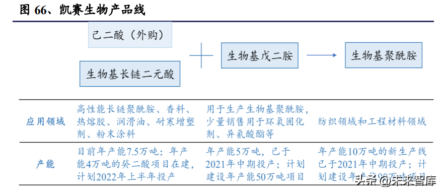 合成生物學(xué)深度報(bào)告:推陳出新,欣欣向榮