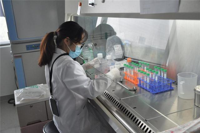 依科賽生物:細胞培養和鑒定試劑的領軍企業