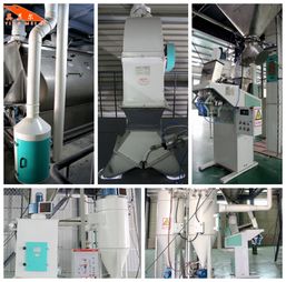 小尾寒羊快速催肥在線咨詢