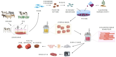 226起投融資、52個過億項目.食品飲料行業(yè)有哪些潛力賽道值得挖掘?